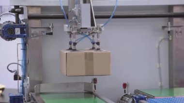 Kol ile konveyör kutu