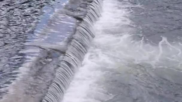 Fluxo de água em cascata — Vídeo de Stock