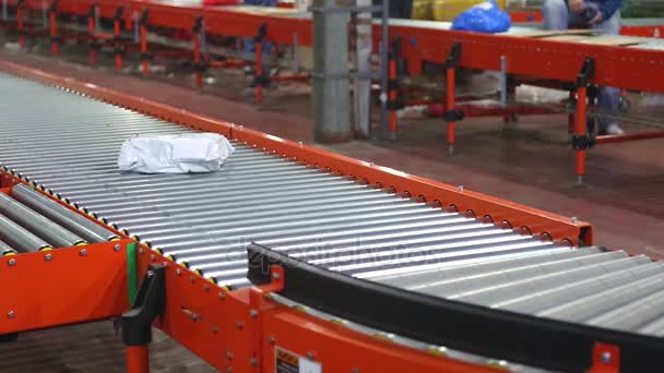 Warehouse Distribution Conveyor Belt — Stock Video