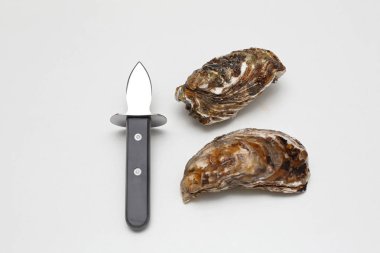 Bıçak ve istiridye shucking