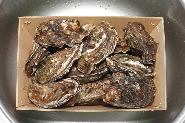 İstiridye kutusunda