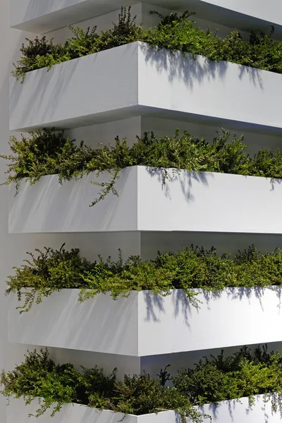 Esquina vertical del jardín — Foto de Stock
