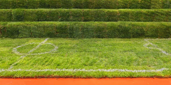 Campo in erba artificiale — Foto Stock