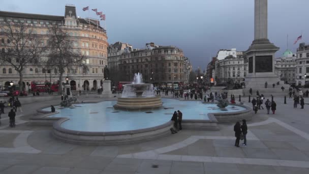 Trafalgar Square London — Stock Video