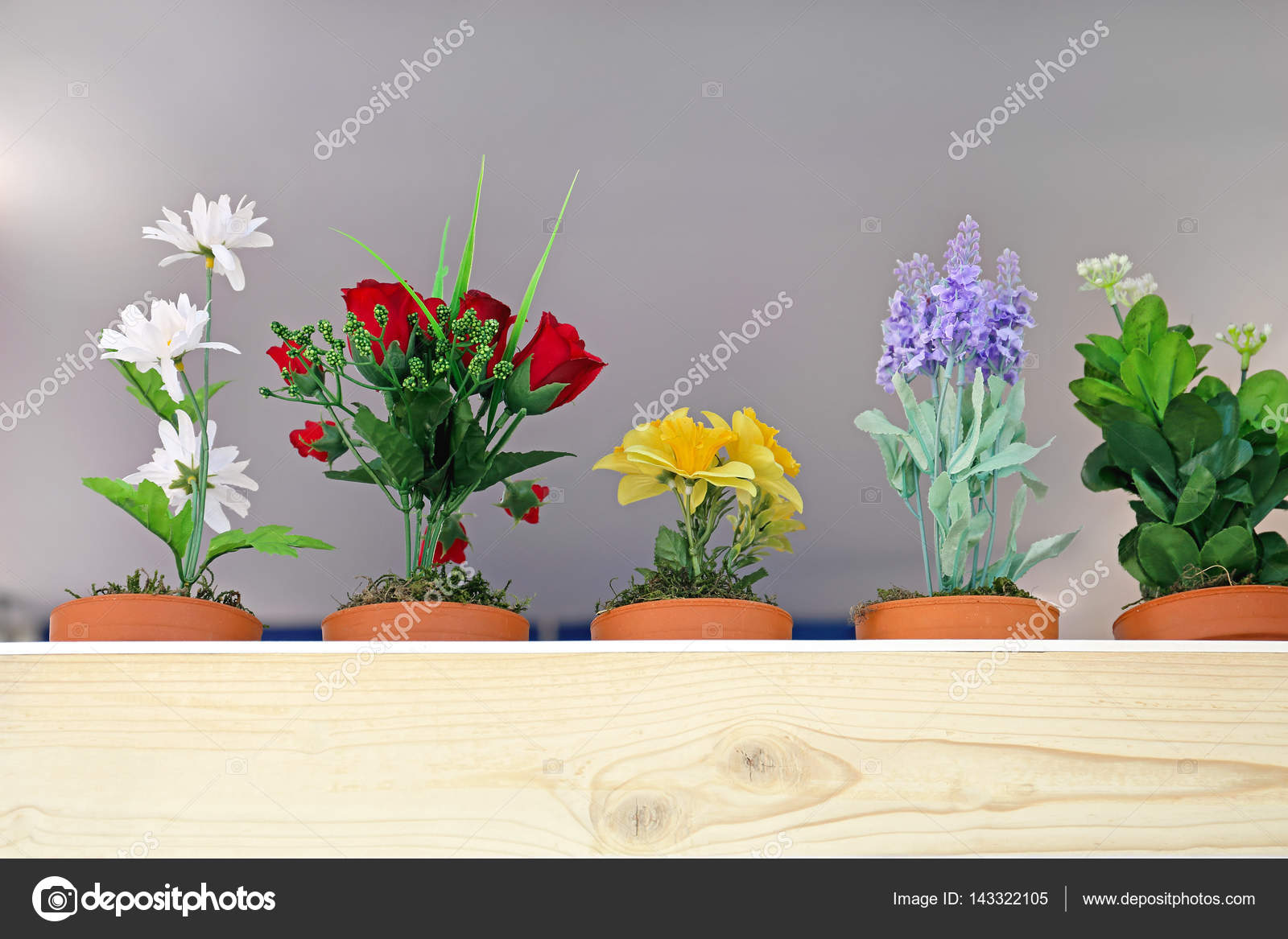 Flowers in Pots — Stock Photo © Baloncici 143322105