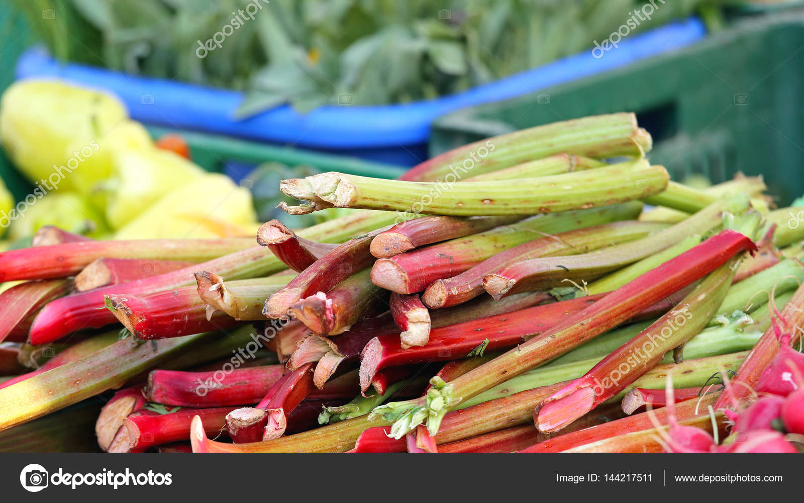 Rhubarb Stalks Vegetables Stock Photo by ©Baloncici 144217511