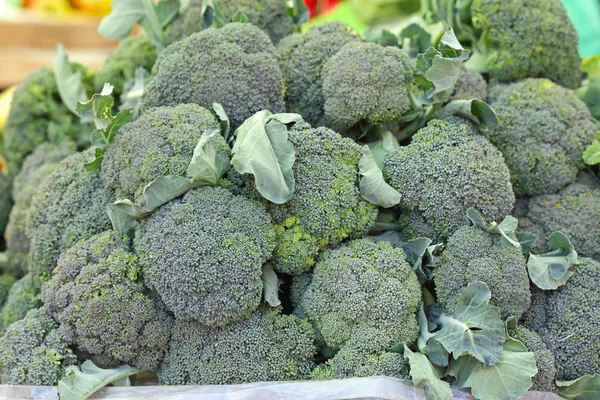 Broccoli Florets Ortaggi — Foto Stock