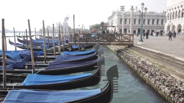 Góndolas en Venecia — Vídeo de stock