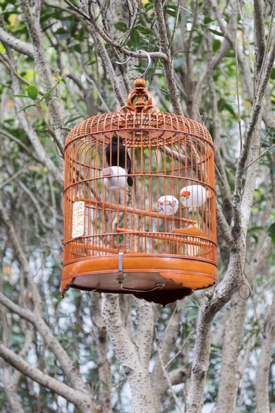 Estilo Vintage jaula de aves — Foto de Stock