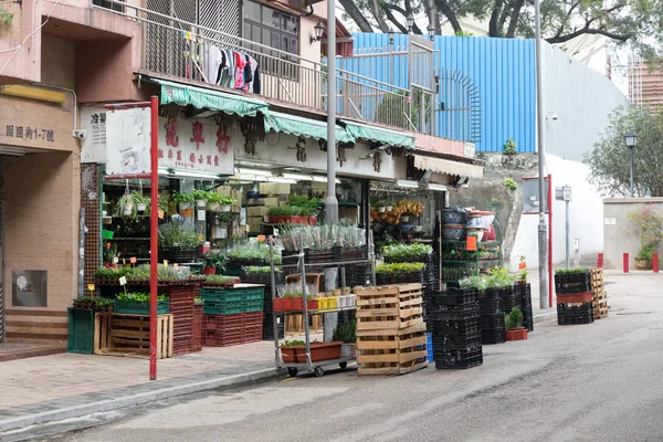 Ανθοπωλείο Store Χονγκ Κονγκ — Φωτογραφία Αρχείου