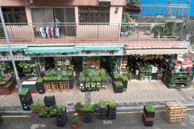 Çiçekçi bitki Kreş