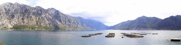 Aquafarming in Montenegro — Stockfoto