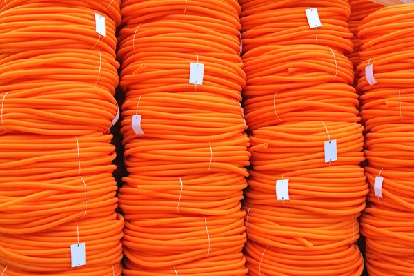 Oranje slang opgerold — Stockfoto