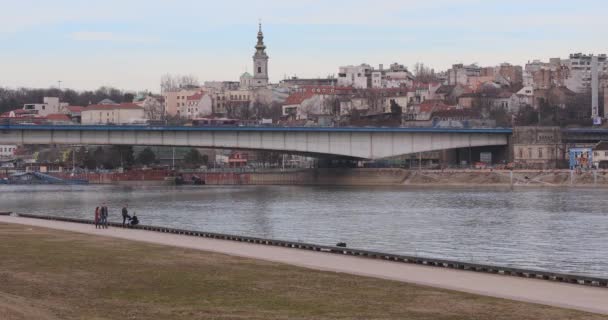 Белградский мост Бранко — стоковое видео