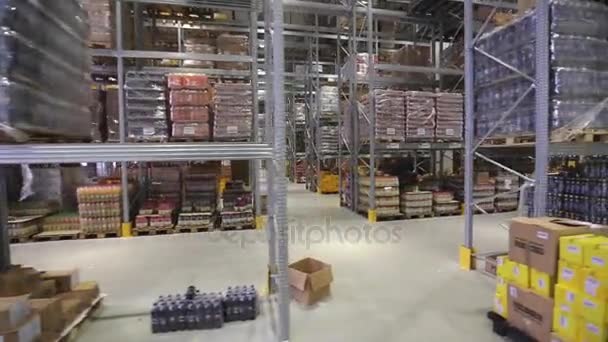 Centro de distribución Almacén — Vídeo de stock