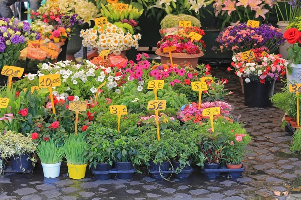 Flower Shop Włochy — Zdjęcie stockowe