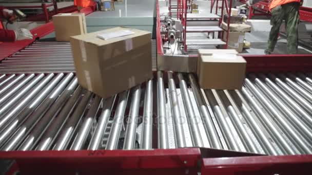 Sorting Parcels Conveyor Fulfillment Warehouse — Stock Video