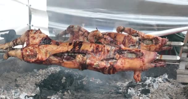 Cerdos Enteros Hoyo Fuego Asado Saliva — Vídeos de Stock