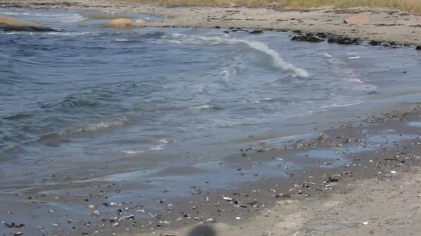 Playa Fría Del Mar Del Norte Noruega — Vídeo de stock