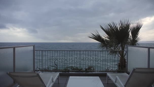 Winter Sea View Terrace Palm Tree — Stock Video