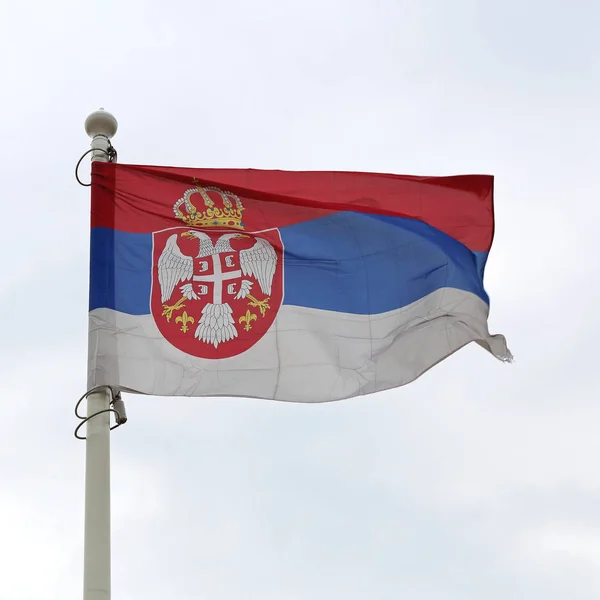 Serbia Flag Wind — Stock Photo, Image