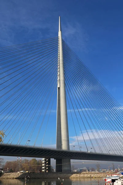 Puente de Pilón Belgrado — Foto de Stock