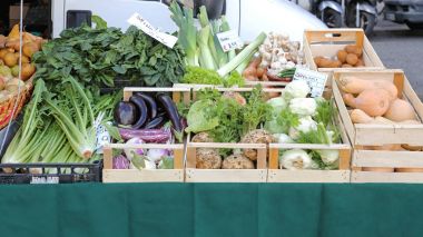 Organik sebze kasaları