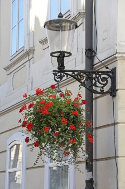 Sokak saksıyı asılı