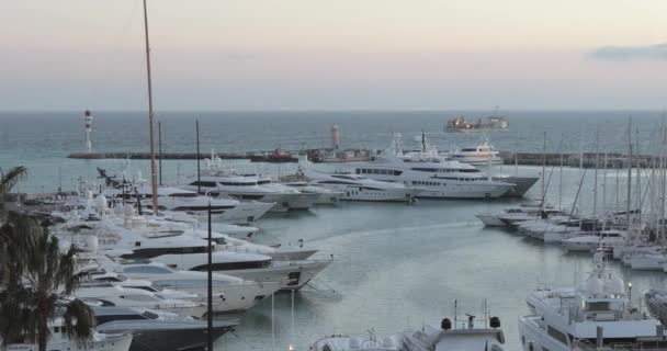 Porto Cannes Com Iates Luxo Noite — Vídeo de Stock