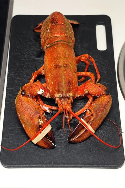 Big Cooked Lobster — Stock Photo, Image