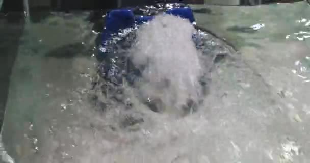 Swimming Pool Robot Cleaner Aqua Bot Rover — Stock Video