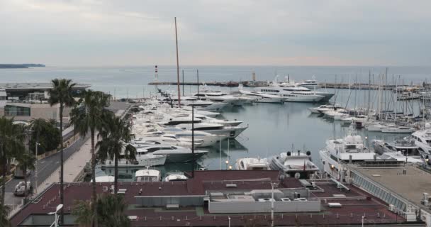 Farbenfrohe Häuser Kleinen Italienischen Dorf Portofino — Stockvideo