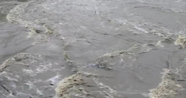 Stroom Van Rivier Snel Vuil Overloop — Stockvideo