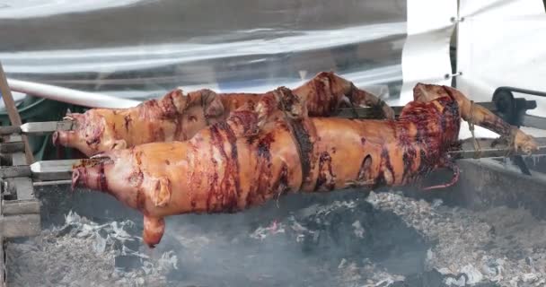 Ganze Schweine Der Feuerstelle Spießbraten — Stockvideo