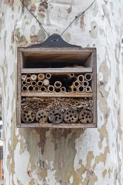 Beehive Oteli — Stok fotoğraf