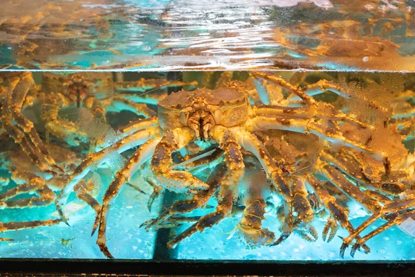 Live Crab Tank