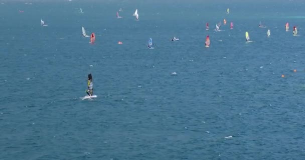 Windsurf Surfing Water Sport Lake Garda Italy — стокове відео