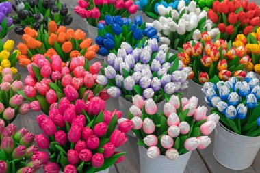 Tahta Lale Buketleri