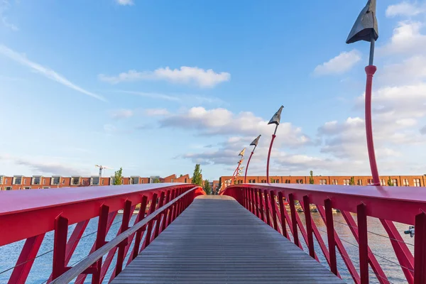Amsterdam'da Python Köprüsü — Stok fotoğraf