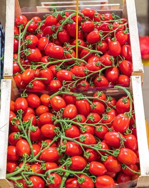 Baby Tomato Crates — Stock Photo, Image