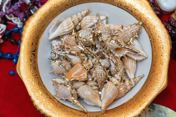 Coquilles de mer dorées — Photo