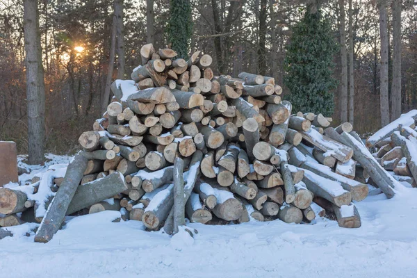 Leña en madera — Foto de Stock