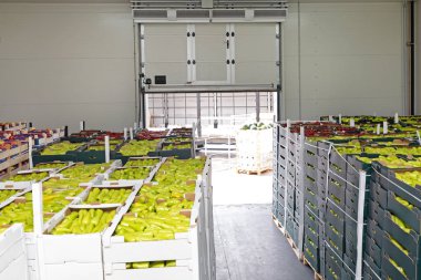 Biberler Elma Deposu