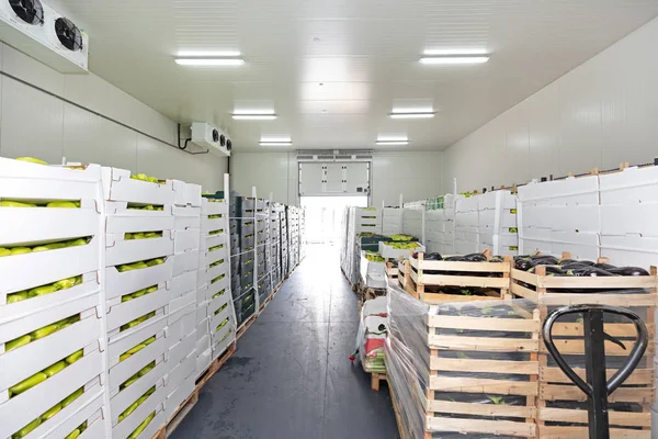 Produce Storage Unit — Stock Photo, Image