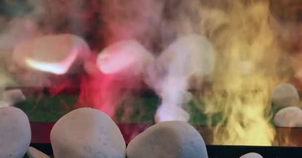 Кольорові Ефекти Парового Туману Home Spa Decor — стокове відео