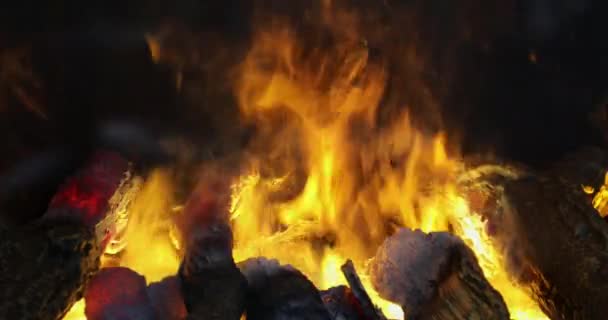 Efectos Fuego Con Troncos Madera Humo — Vídeo de stock