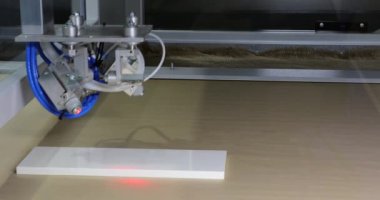 Ahşap Fabrikasında Otomatik Ahşap Boyama Makinesi