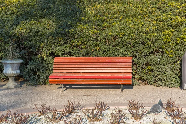 Bench Park Venice — Stock Photo, Image