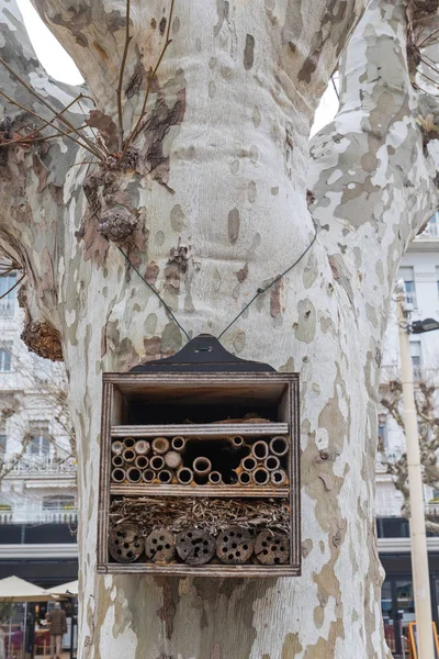 Beehive Hotel Tree — стоковое фото