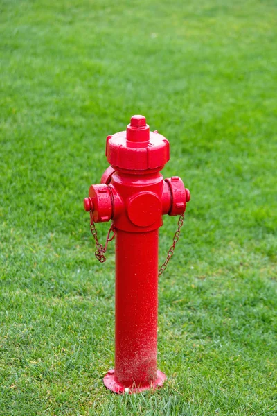 Césped hidrante de fuego —  Fotos de Stock